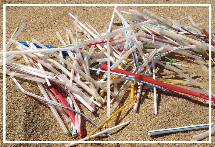 Malibu bans plastic straws